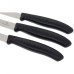Набор кухонных ножей VICTORINOX SWISSCLASSIC PARING SET 6.7113.3G