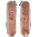Нож-брелок VICTORINOX CLASSIC WOODWORM 0.6223.L1706