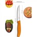 Нож для стейков VICTORINOX 6.7936.12L9