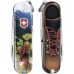 Нож VICTORINOX BIKE RIDE 0.6223.L2002 Нож VICTORINOX BIKE RIDE 0.6223.L2002
